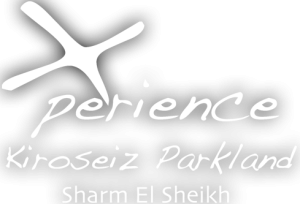 Xperience